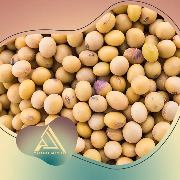 انواع سویا | چند مدل سویا داریم