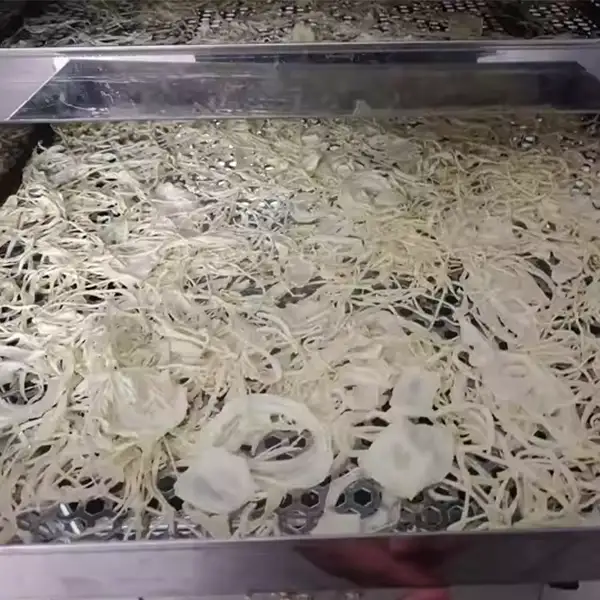 تولید پیاز خشک