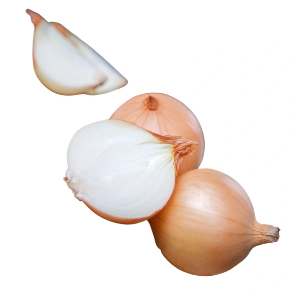 فواید پیاز خشک