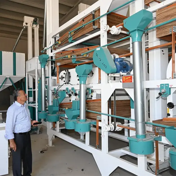 کارخانه سبزی خشک کنی