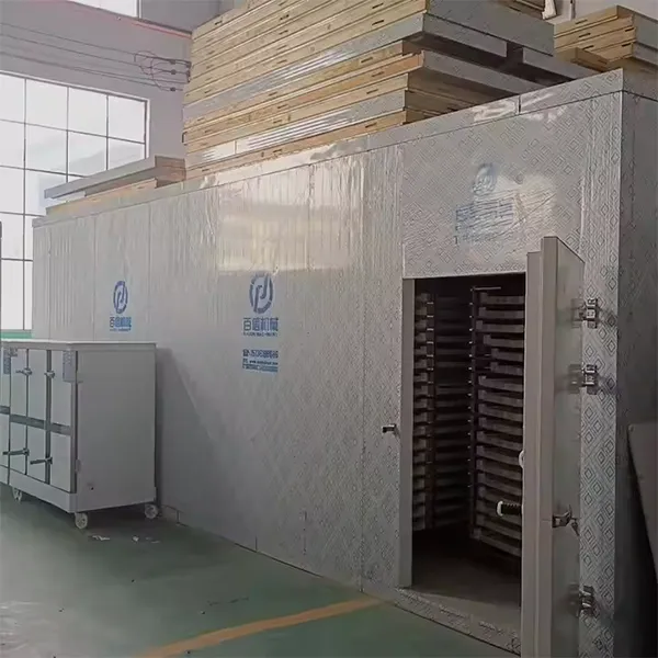 کارخانه صادر کننده پیاز خشک