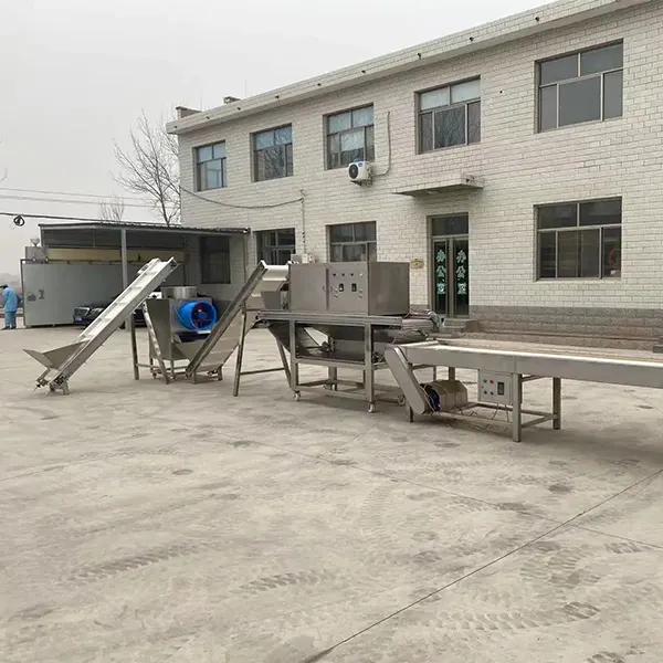 کارخانه پیاز خشک | فرآوری اسلایس پیاز، خلال و پودر فله و عمده ای